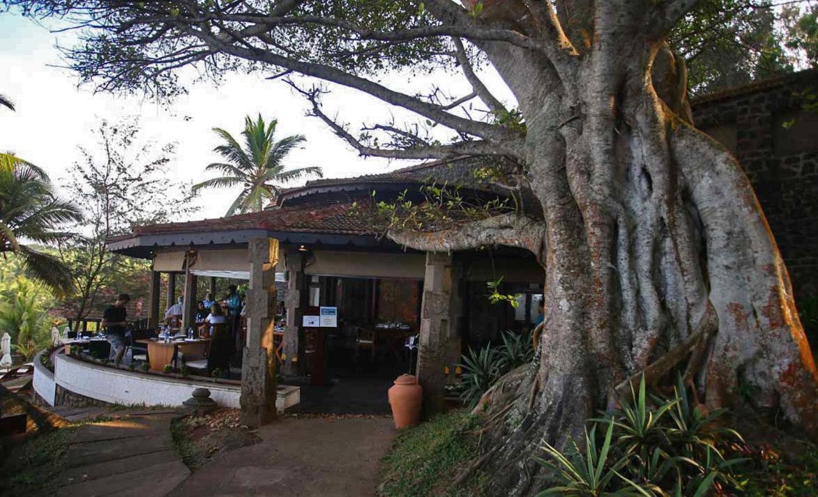 Niraamaya Wellness Retreats, Surya Samudra, Kovalam Eksteriør billede