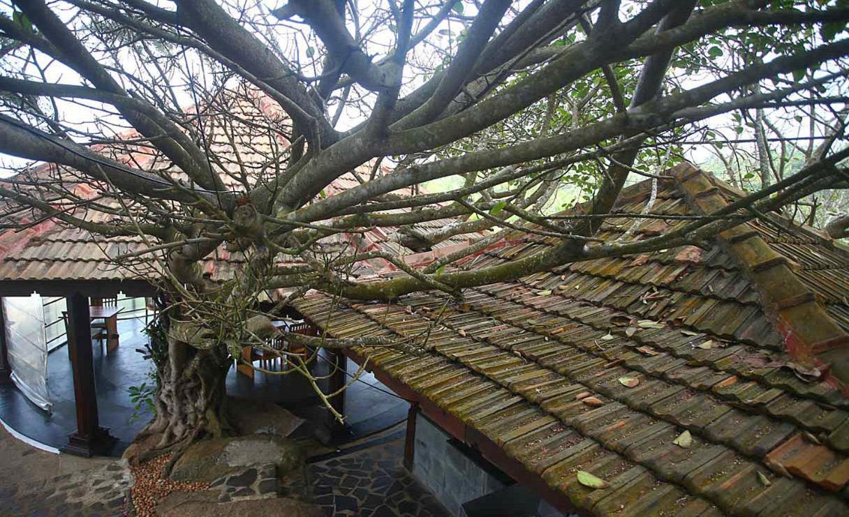 Niraamaya Wellness Retreats, Surya Samudra, Kovalam Eksteriør billede